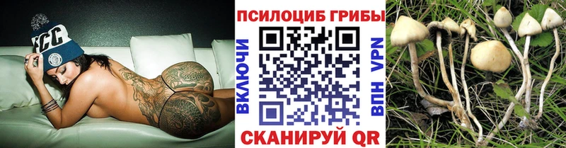 Псилоцибиновые грибы мицелий  даркнет сайт  Северо-Курильск 